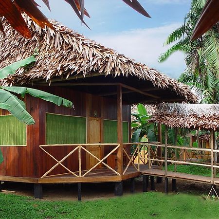 Amazon Rainforest Lodge Padre Cocha Kültér fotó